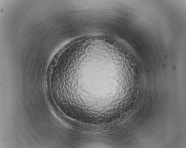 X0000078260726200611251328