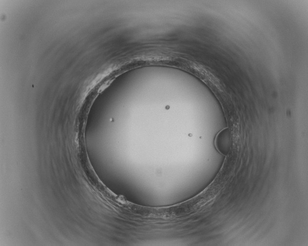 X0000078260727200611251328