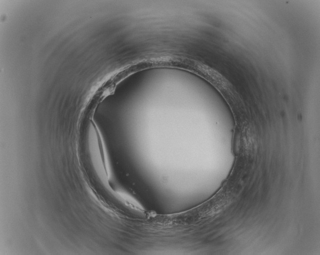 X0000078260728200611251328