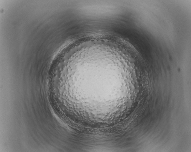 X0000078260730200611251328