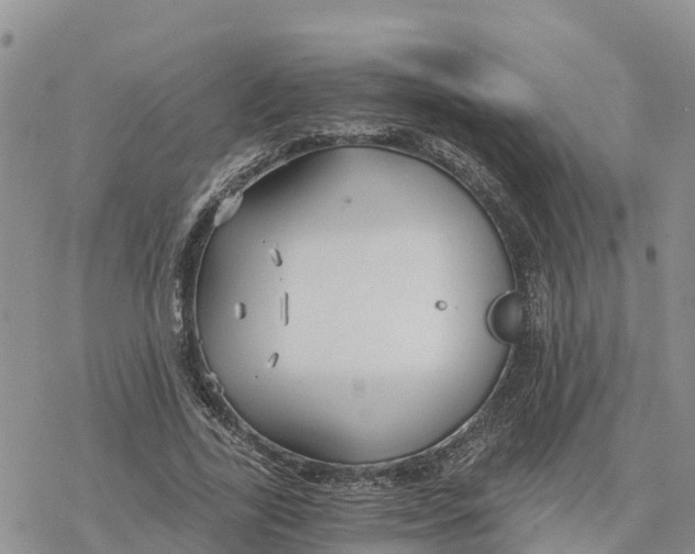 X0000078260731200611251328