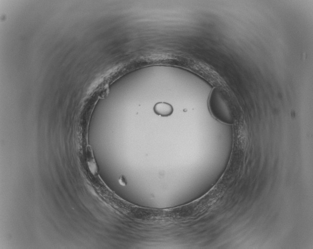 X0000078260732200611251328