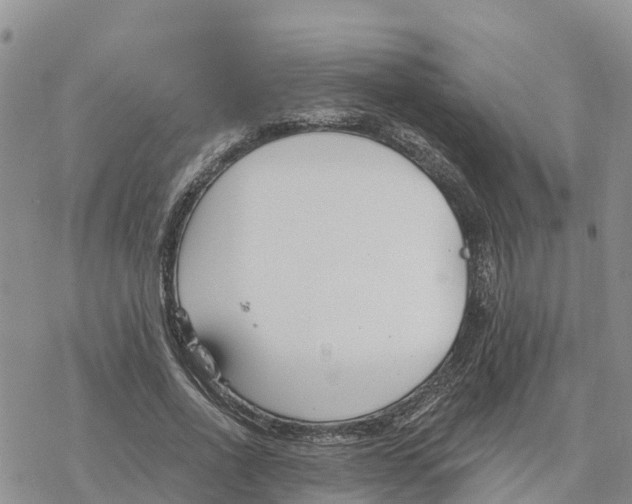 X0000078260734200611251328