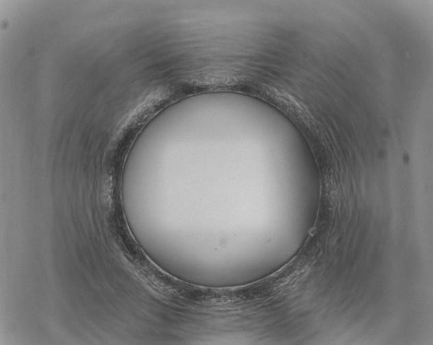 X0000078260735200611251328