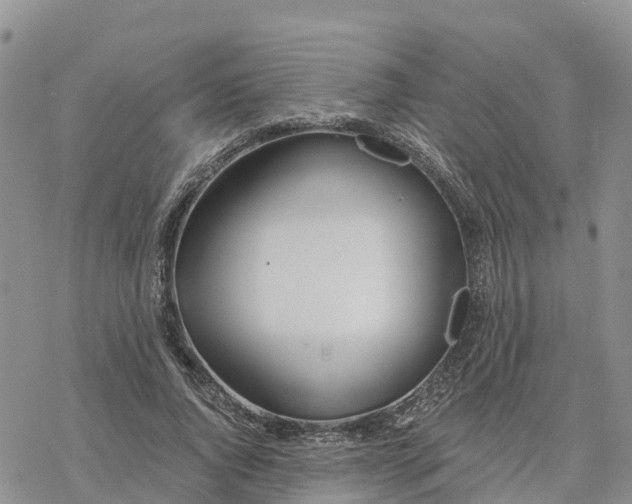 X0000078260736200611251328