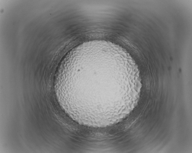 X0000078260737200611251328