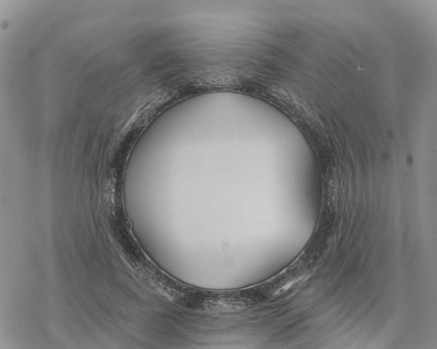 X0000078260739200611251328