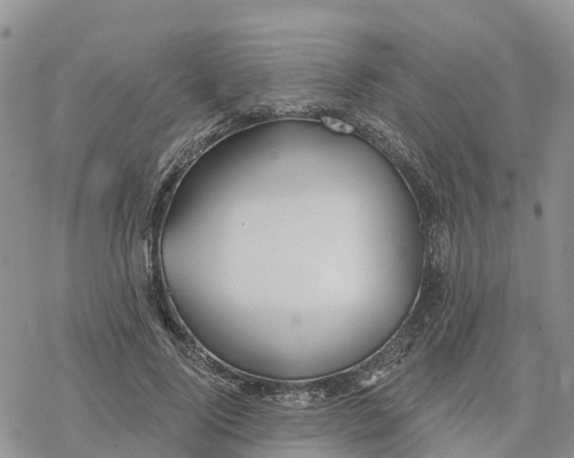 X0000078260740200611251328