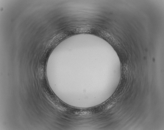 X0000078260741200611251328