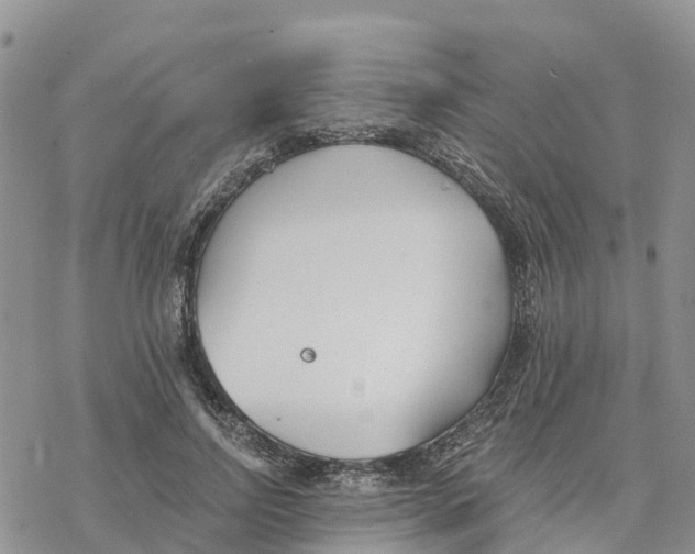 X0000078260742200611251328