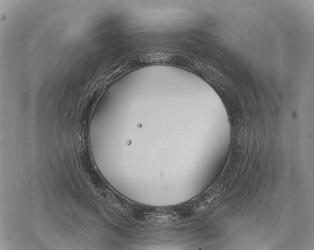 X0000078260743200611251328