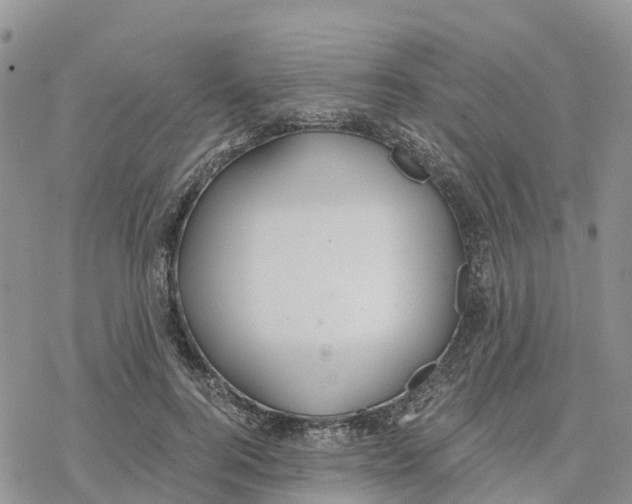 X0000078260744200611251328