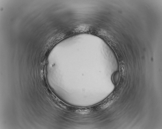 X0000078260745200611251328