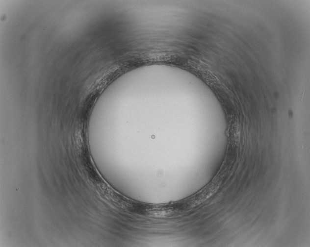 X0000078260746200611251328