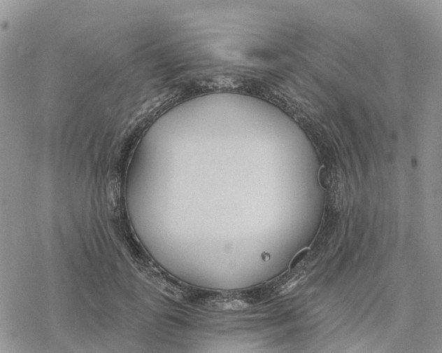 X0000078260747200611251328