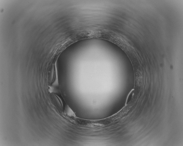 X0000078260748200611251328