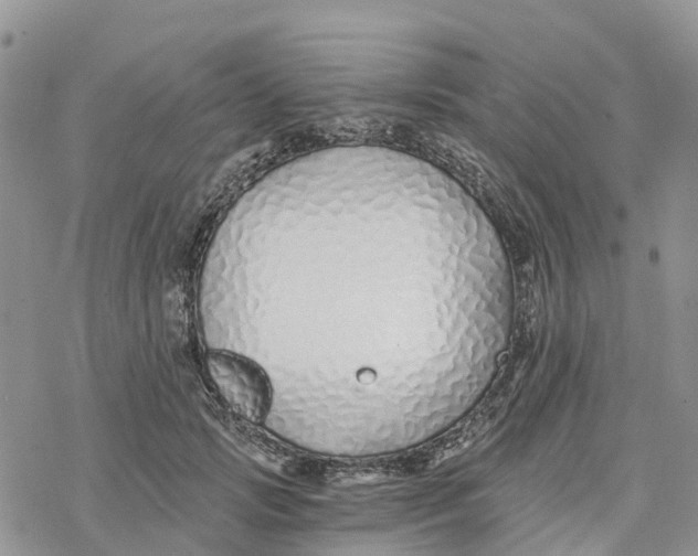 X0000078260749200611251328