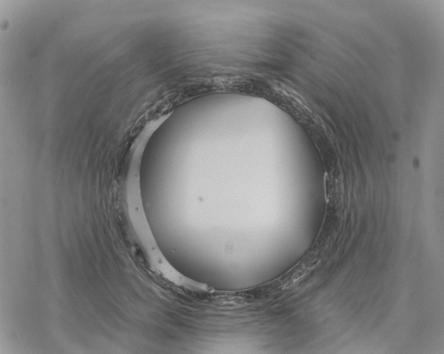 X0000078260750200611251328