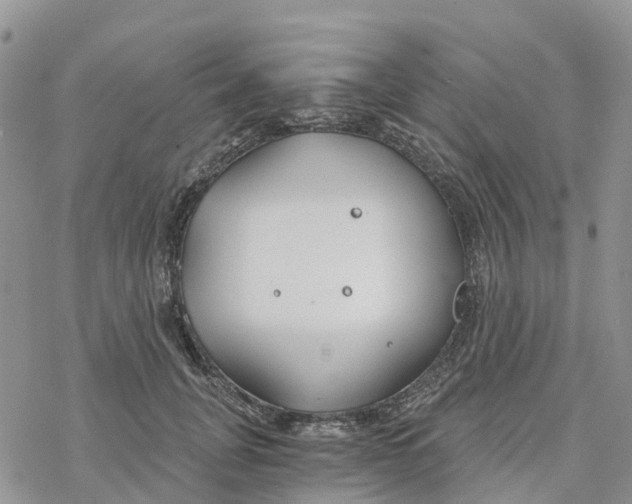 X0000078260751200611251328