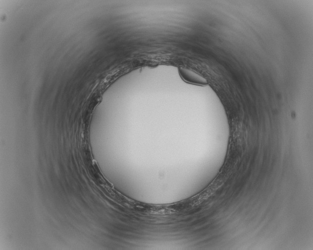 X0000078260752200611251328