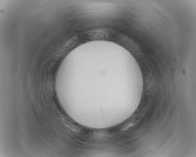 X0000078260753200611251328