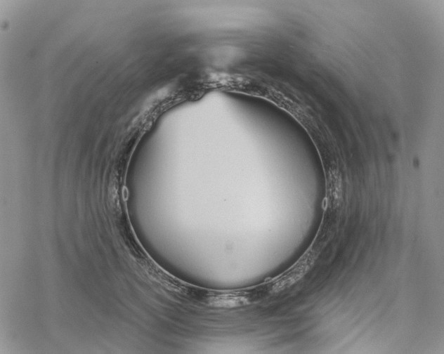 X0000078260754200611251328