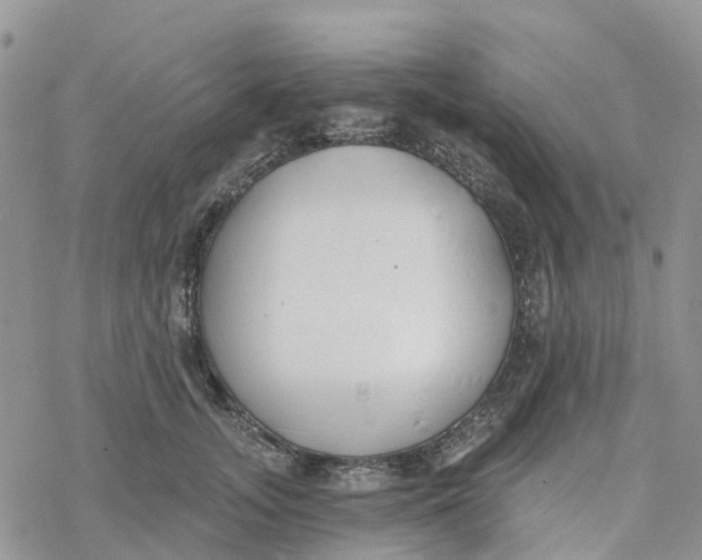 X0000078260755200611251328