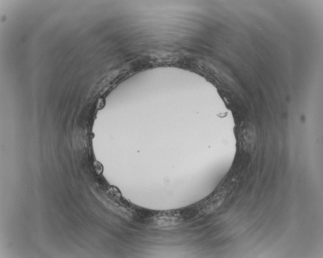 X0000078260756200611251328