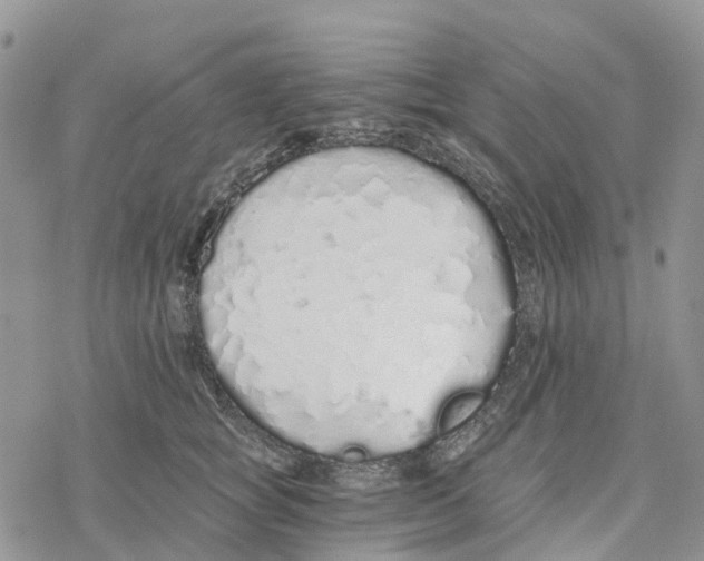 X0000078260757200611251328