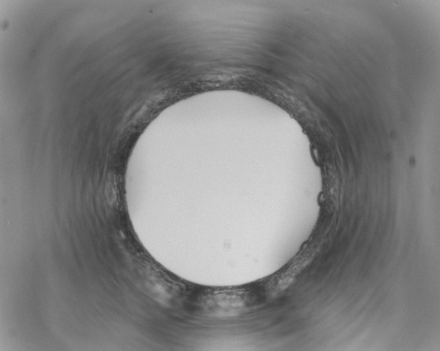 X0000078260758200611251328