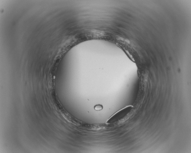 X0000078260760200611251328