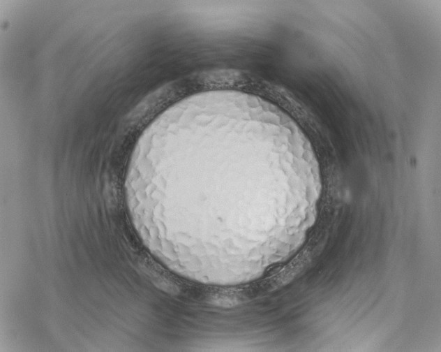 X0000078260761200611251328