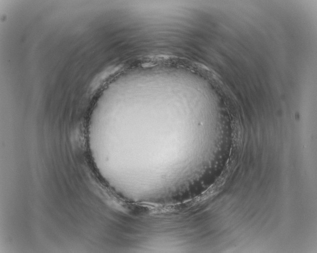 X0000078260762200611251328