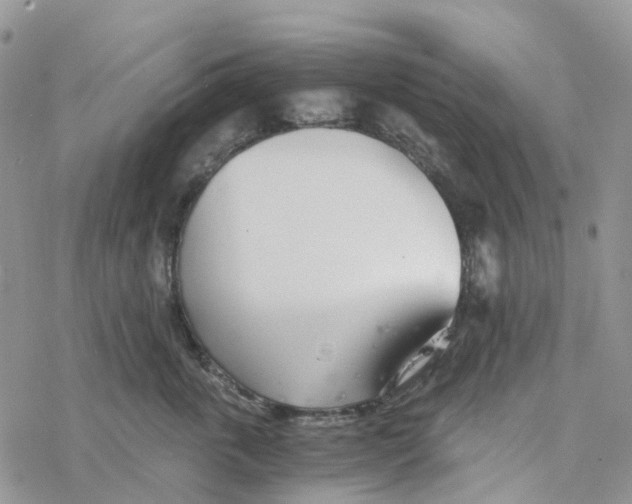 X0000078260763200611251328