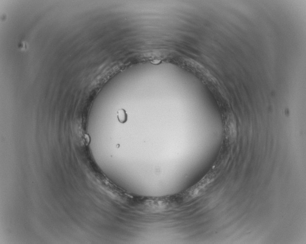 X0000078260764200611251328