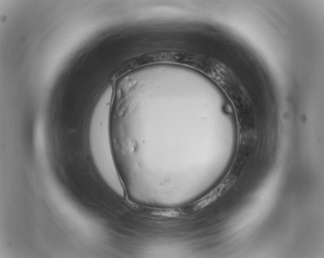 X0000078260765200611251328