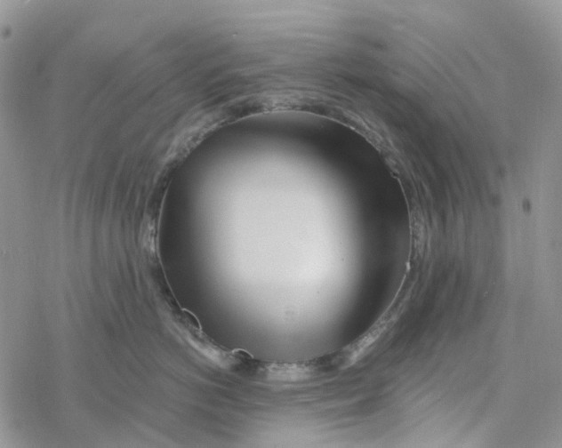 X0000078260766200611251328