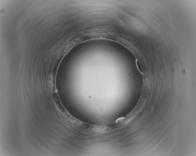 X0000078260767200611251328