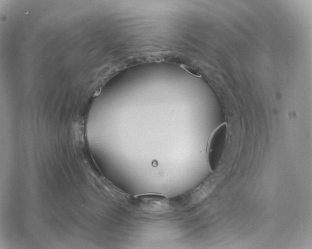 X0000078260768200611251328