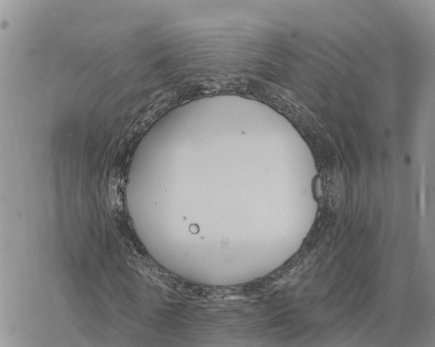 X0000078260770200611251328