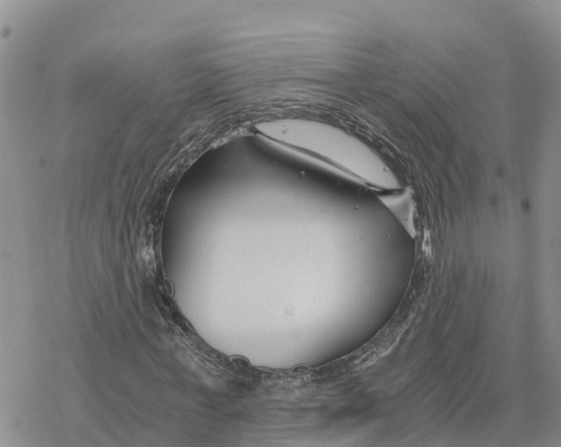 X0000078260771200611251328