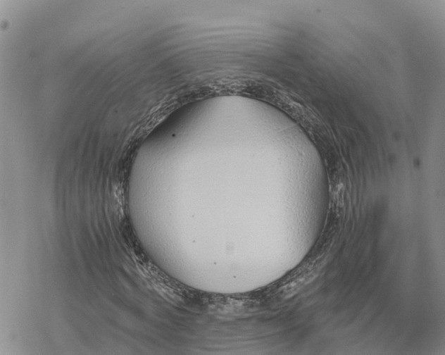 X0000078260772200611251328