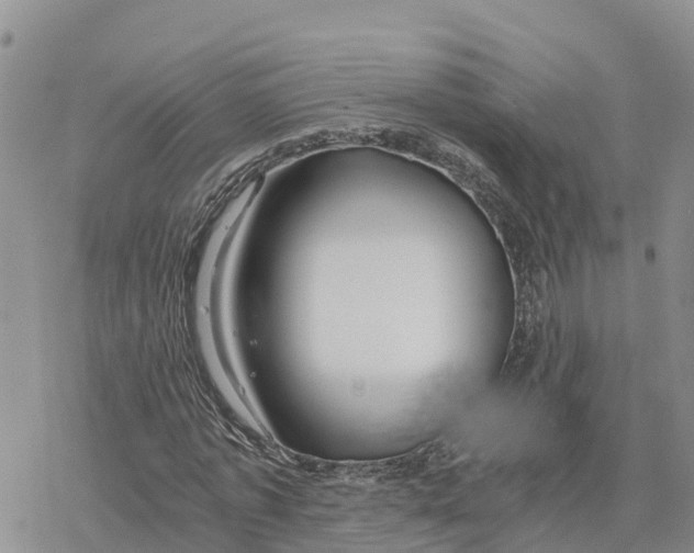 X0000078260773200611251328