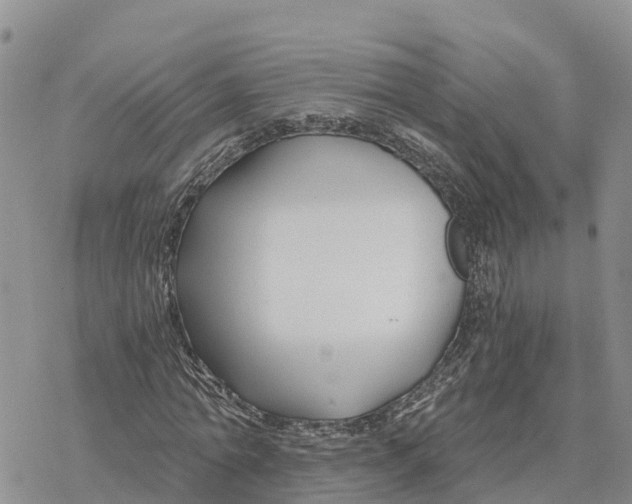 X0000078260774200611251328