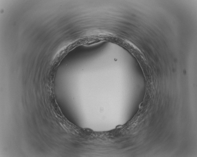 X0000078260775200611251327