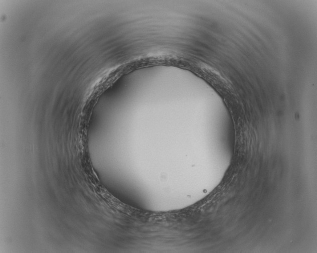 X0000078260776200611251327