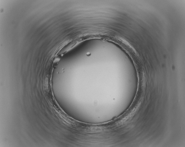 X0000078260777200611251327