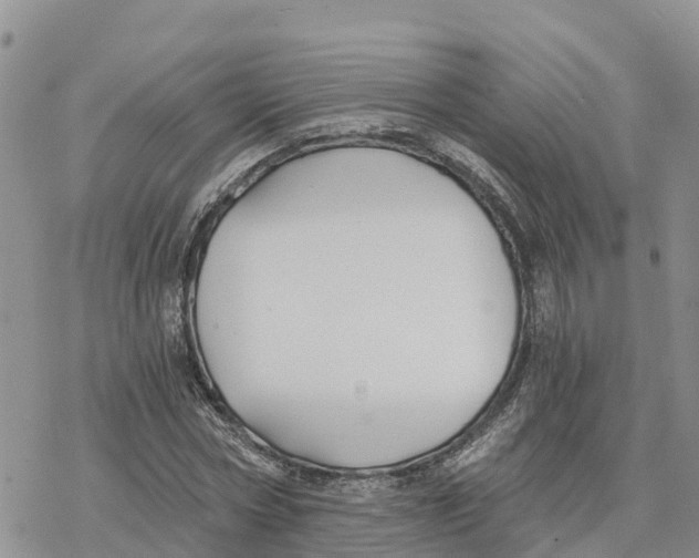 X0000078260778200611251327