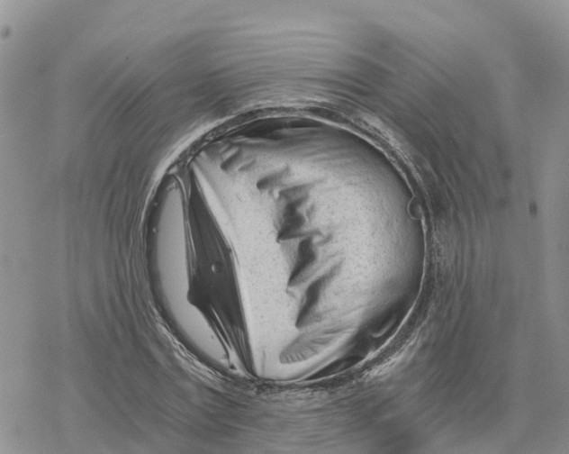 X0000078260779200611251327