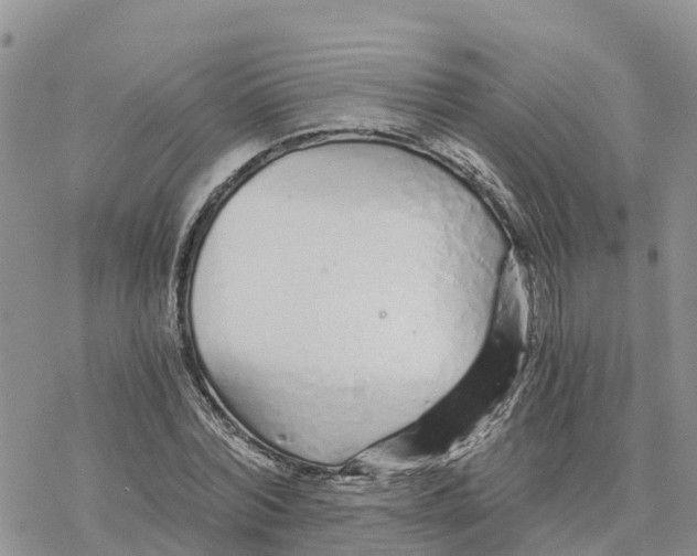 X0000078260780200611251327